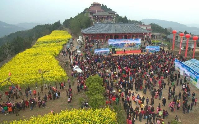 2019年乡村文化旅游节暨第四届菜花节开幕式将于3月16日开幕