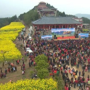 2019年乡村文化旅游节暨第四届菜花节开幕式将于3月16日开幕